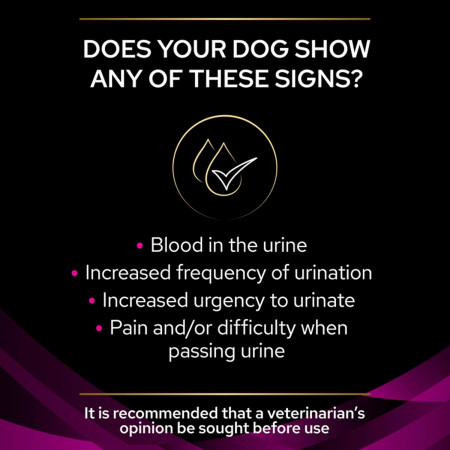 Pro Plan Veterinary Diets UR Urinary para cão