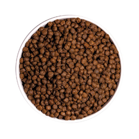 Ownat Ultra Mini Junior - Para os cachorros de porte pequeno