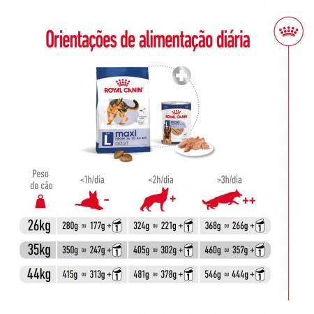 Royal Canin Seca Maxi Adulto