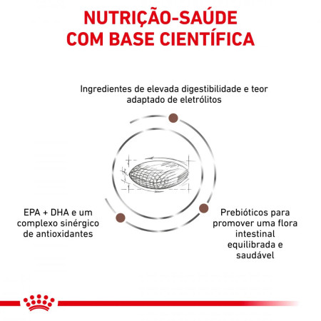 Royal Canin Vet Gastro Intestinal Hairball Feline