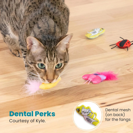 Nina Ottosson Catstages Cute as a Bug