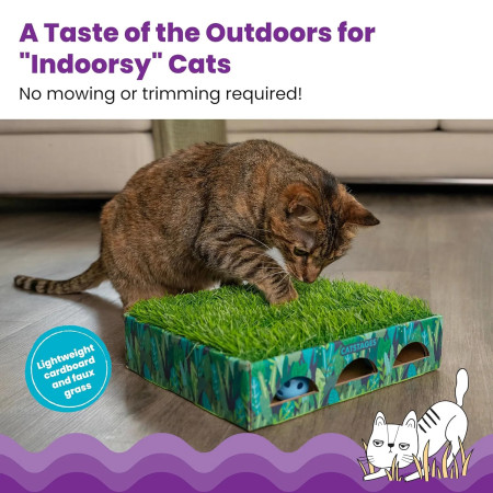 Catstages Hunt N'Find Grass Patch Box puzzle para gatos