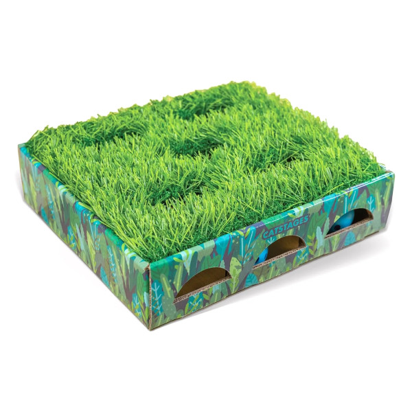 Catstages Hunt N'Find Grass Patch Box