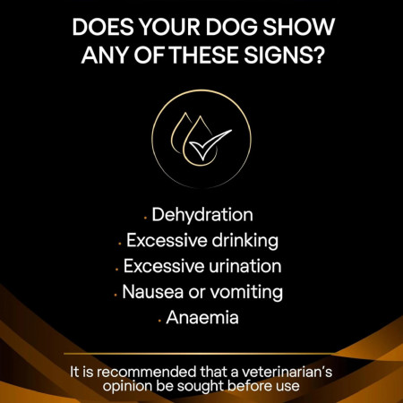 Pro Plan Dieta Veterinaria NF Renal Function problemas renais em cães