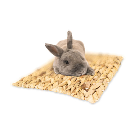 JR Farm Nibble Mat Tapete para roer
