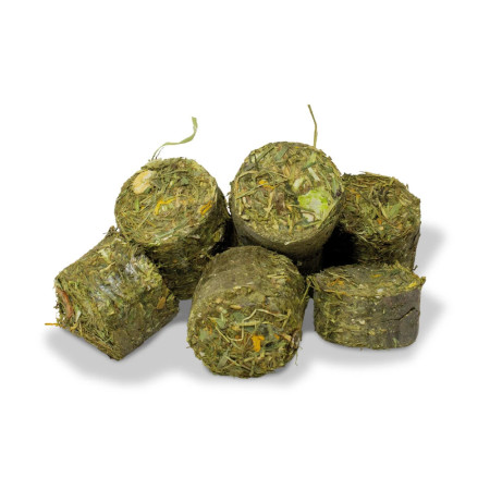 JR Farm Grainless One Porquinho-da-Índia