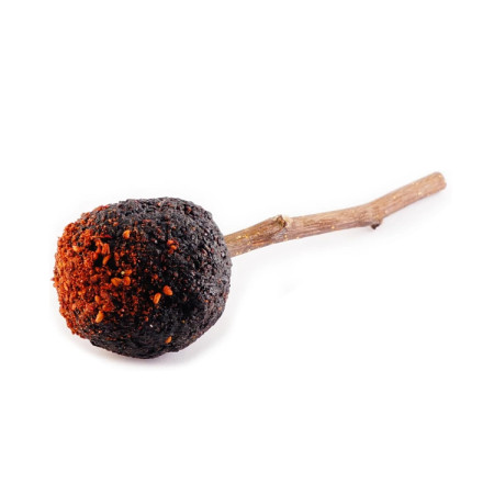 Woodchuck Lolly Snack de groselha, framboesa e maçã para roedores