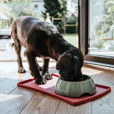 Hunter Comedouro Kington Verde para cão