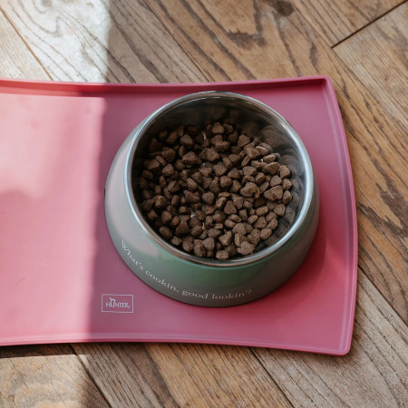 Hunter Comedouro Kington Verde para cão