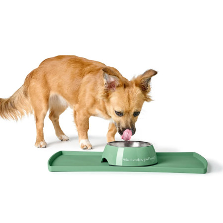 Hunter Comedouro Kington Verde para cão