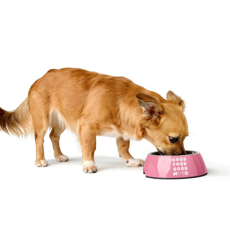 Hunter Comedouro Chester Rosa para cão