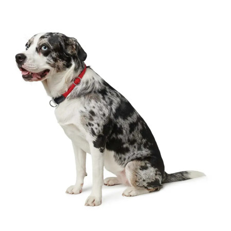 Hunter Coleira de corda para cão Freestyle vermelha