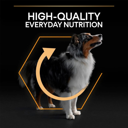 Purina Pro Plan Medium Adult Everyday Nutrition