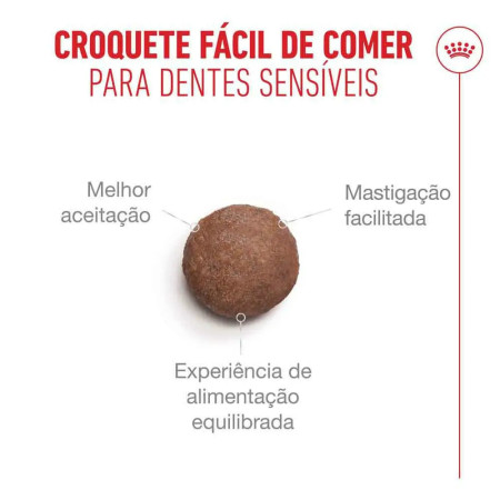 Royal Canin Seca Ageing 11+