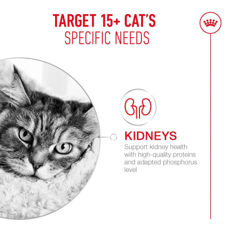 Royal Canin Wet Ageing 15+ em molho