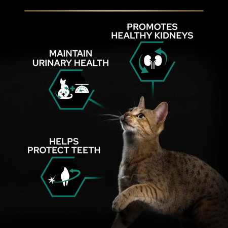 Pro Plan Feline Adult Renal Plus Sterilised Perú