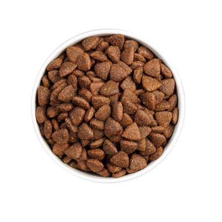 Ownat Classic Monoproteic Iberian Pork