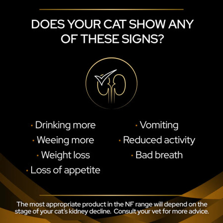 Pro Plan Veterinary Feline NF Renal Function com salmão