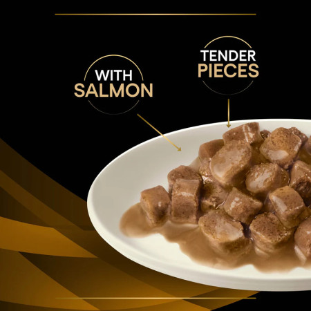 Pro Plan Veterinary Feline NF Renal Function com salmão