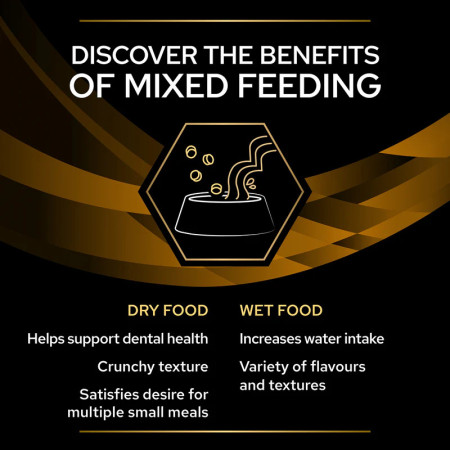 Pro Plan Veterinary Feline NF Renal Function com salmão