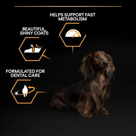 Purina Pro Plan Small&Mini Adult Everyday Nutrition rico em frango