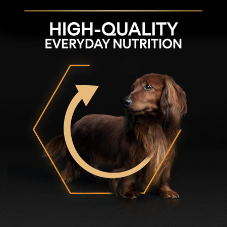 Purina Pro Plan Small&Mini Adult Everyday Nutrition rico em frango