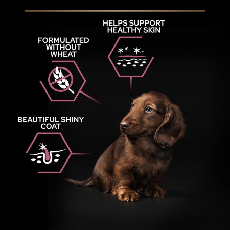 Pro Plan Adult Small & Mini Sensitive Skin Salmão