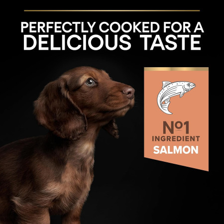 Pro Plan Adult Small & Mini Sensitive Skin Salmão