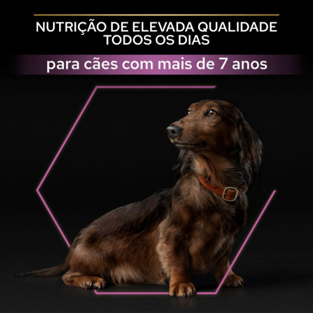 Pro Plan Adult 9+ Small & Mini Adult Age Defense Galinha
