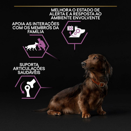 Pro Plan Adult 9+ Small & Mini Adult Age Defense Galinha