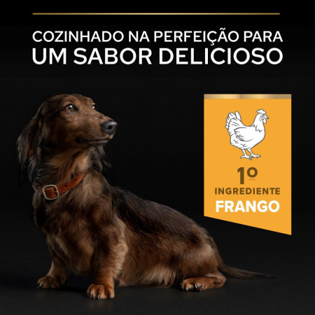 Pro Plan Adult 9+ Small & Mini Adult Age Defense Galinha