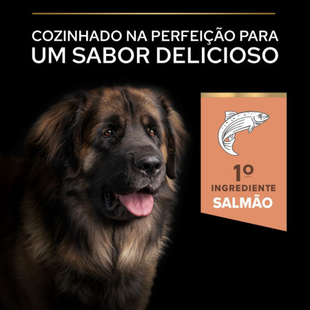 Purina Pro Plan Adult Large Robust Sensitive Skin Salmão