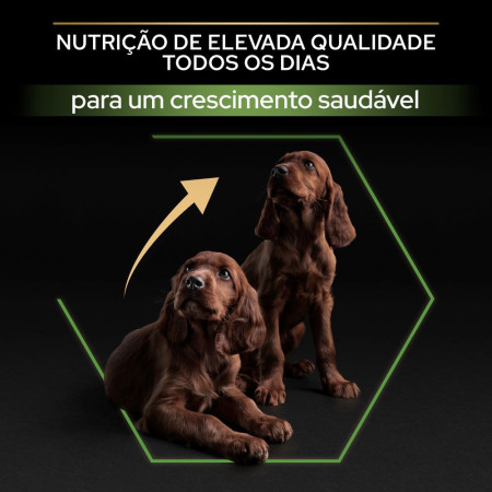 Purina Pro Plan Puppy Large Athletic Healthy Start Galinha