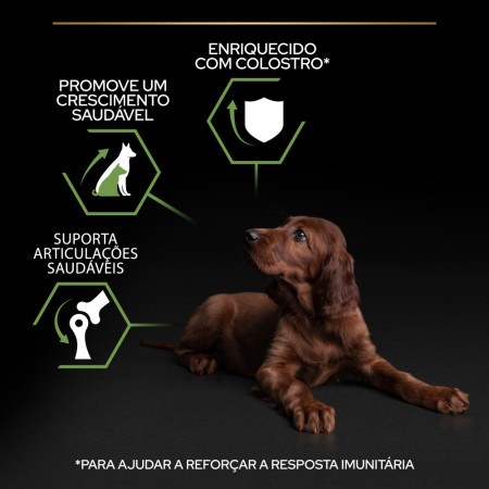 Purina Pro Plan Puppy Large Athletic Healthy Start Galinha