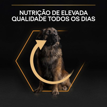 Purina Pro Plan Adult Large Robust Everyday Nutrition com galinha