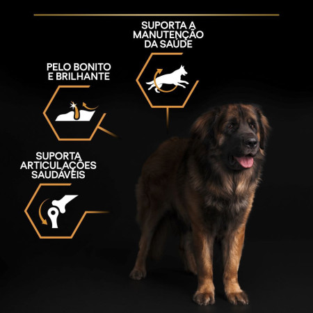 Purina Pro Plan Adult Large Robust Everyday Nutrition com galinha