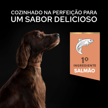 Pro Plan Adult Large Athletic Sensitive Skin Salmão