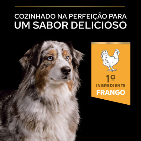 Pro Plan Adult +7 Medium & Large Age Defence Frango