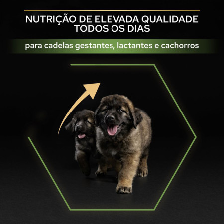 Pro Plan Puppy Large Robust Healthy Start Frango