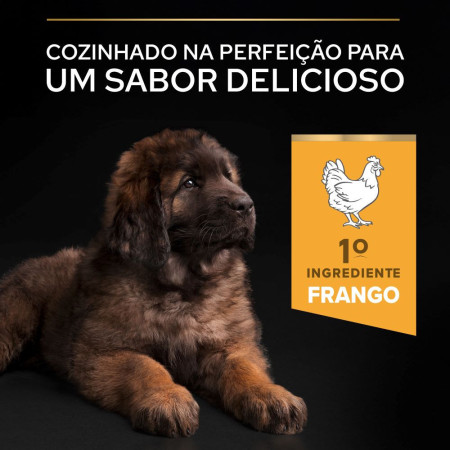 Pro Plan Puppy Large Robust Healthy Start Frango