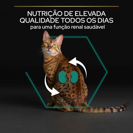 Pro Plan Feline Adult Renal Plus Galinha