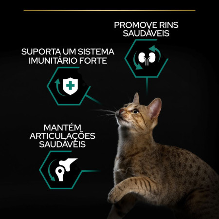 Pro Plan Feline Adult Renal Plus Galinha