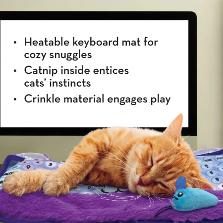 Kong Comfort Teclado