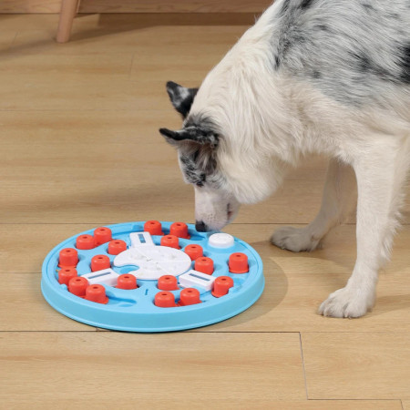 M-Pets Brainy Games Puzzle para cão Da Vinci Nível 3