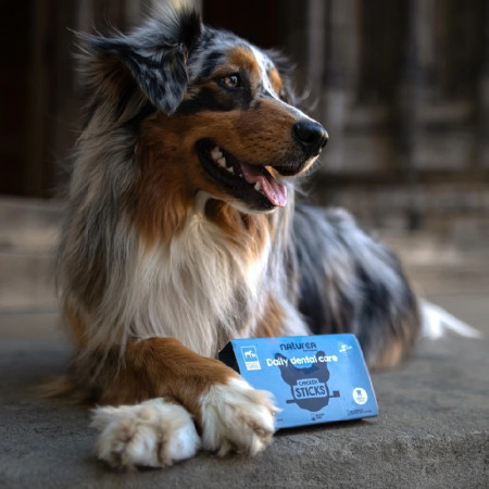 Naturea Daily Dental Care Sticks dentais para cão