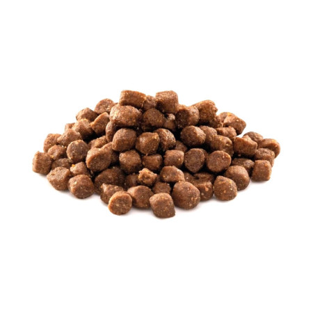 Brit Premium by Nature Junior Medium Dog