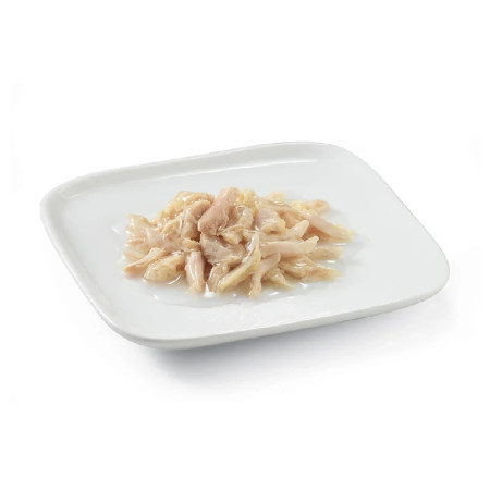 Schesir Cão Petit Cuisine Frango ao natural
