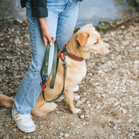 Hunter Coleira Grossa Havanna Verde/Laranja