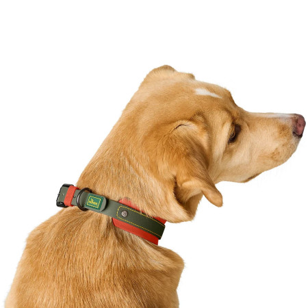 Hunter Coleira Grossa Havanna Verde/Laranja