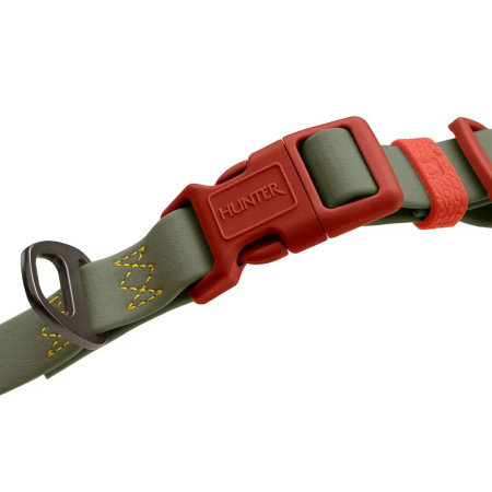 Hunter Coleira Havanna Verde/Laranja
